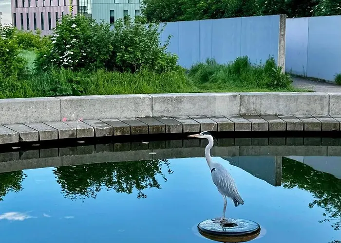 Szálloda Porte Des Lilas Párizs