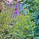 Porte Des Lilas Ξενοδοχείο Παρίσι